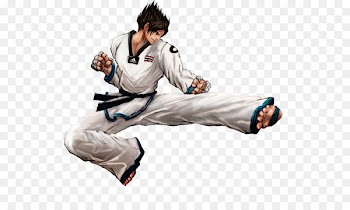 Dobok Karate Hapkido Taekwondo Martial arts - karate 
