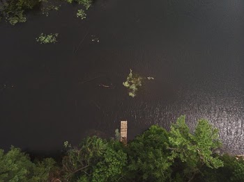 Dock On Choppy Cottage Country Lake