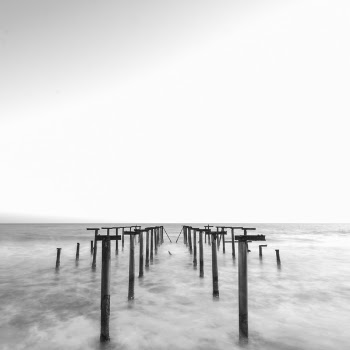 Dock Posts Grayscale Photo