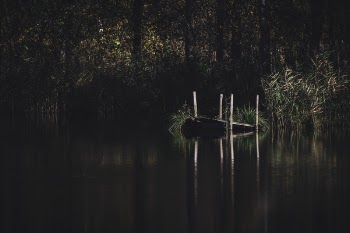 Dock Surrounded by Body of Water