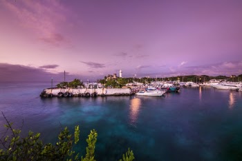 Dock Under Purple Sky