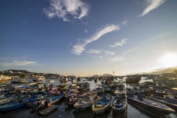 Docked Powerboats