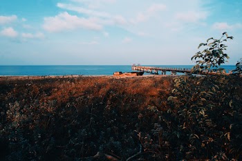 Dockyard