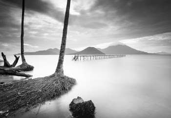 Dockyard Grayscale Photo