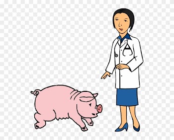 Doctor And Pig Clip Art At Clker - Veterinarian Clipart Png