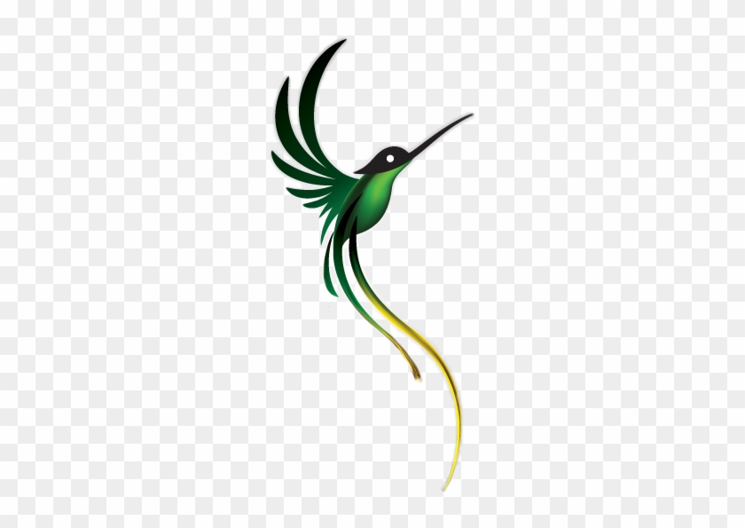 Doctor Bird Clipart - Jamaican Doctor Bird