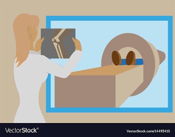 Doctor looking at results of patient leg scan on vector image