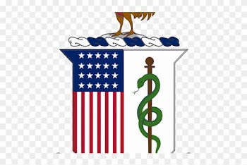 Doctor Symbol Clipart Combat Medic - Patt - Star - Stars - Small 24 Pack - Vinyl Wall Decals