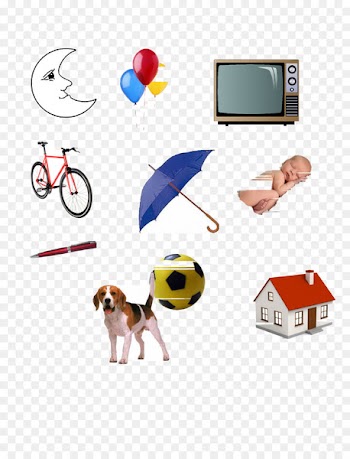 Document Image Clip art Questionnaire Psychological testing - especies frame 