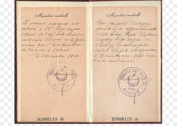 Document - passport stamp 