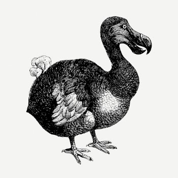 Dodo bird, animal clipart psd. | Free PSD Illustration - rawpixel