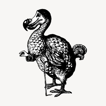 Dodo bird clipart, vintage animal | Free Vector - rawpixel