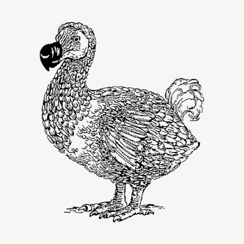 Dodo bird clipart, vintage wildlife | Free Vector - rawpixel
