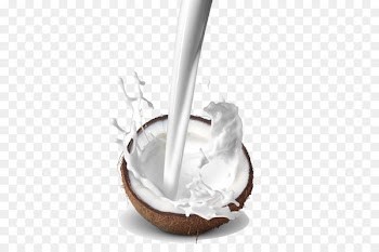Dodol Coconut milk Coconut water Thai cuisine - Coconut milk 