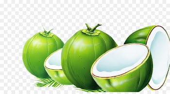 Dodol Coconut water Nata de coco Coconut milk - coconut 