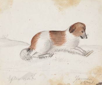 Dog, 1831, by Ferdinand von | Free Photo - rawpixel