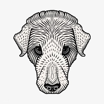 Dog's head (1920) by Julie de Graag (1877.. | Free stock vector - 467075