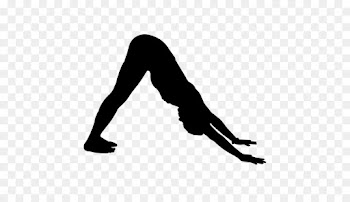 Dog, Adho Mukha Svanasana, Yoga, Physical Fitness, Leg PNG
