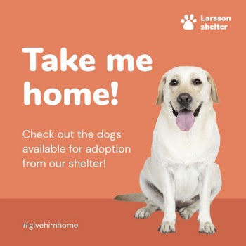 Dog adoption Instagram ad template | Free Vector Template - rawpixel