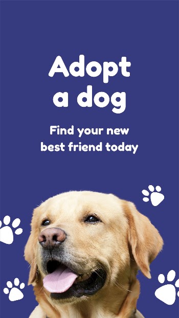 Dog adoption Instagram post template | Free PSD Template - rawpixel