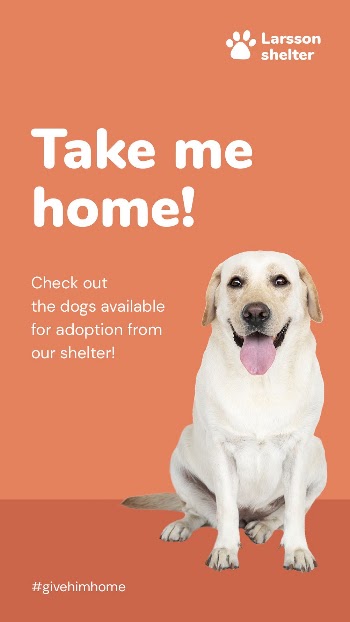 Dog adoption Instagram post template | Free PSD Template - rawpixel