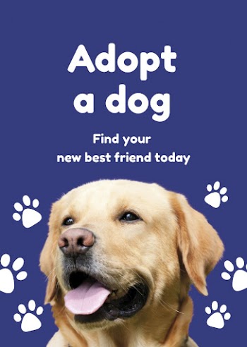 Dog adoption poster template for social | Free PSD Template - rawpixel