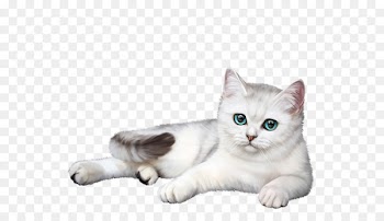 Dog American Shorthair British Shorthair Pet Scratching post - dog 