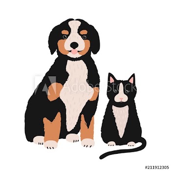 Dog and cat isolated on white background