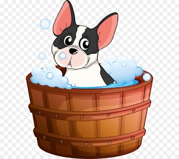 Dog Bathing Cat Illustration - Puppy bath 