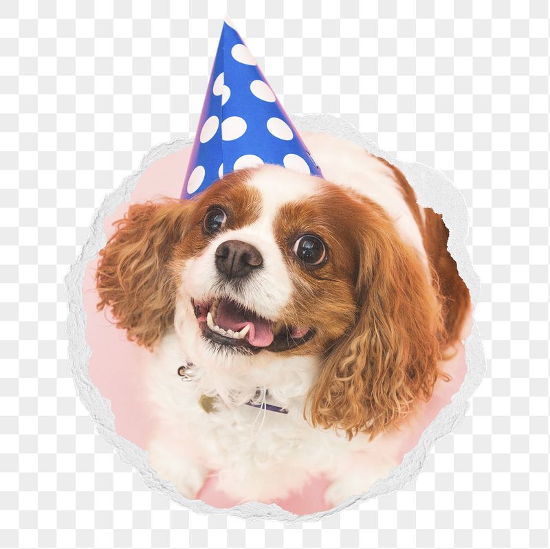Dog birthday png sticker, cute | Free PNG - rawpixel