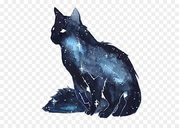 Dog Black cat Kitten - Ink Star Kitten 