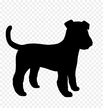 Dog breed Bernese Mountain Dog Puppy Great Dane Bolognese dog -  