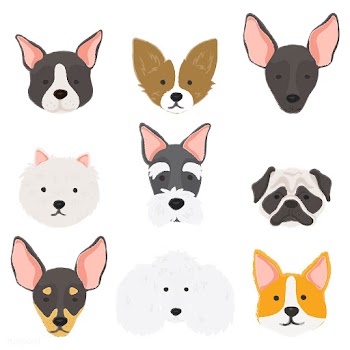 Dog breed collection | Free stock vector - 60714