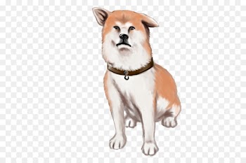 Dog breed Companion dog Akita Whiskers Illustration - hachiko streamer 