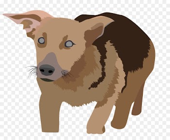 Dog Breed, Corporate Design, Web Design, Vertebrate, Mammal PNG