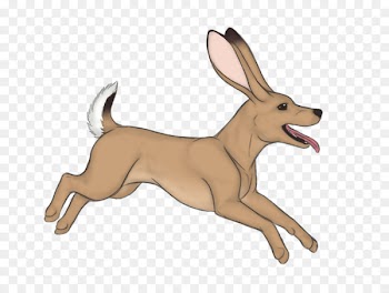Dog breed Domestic rabbit Puppy Hare - puppy 