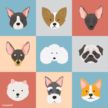 Dog breed faces collection vector | Free stock vector - 60552