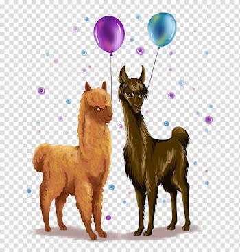 Dog breed Finnish Spitz Pomeranian Rare breed (dog) Companion dog, Watercolor llama transparent background PNG clipart