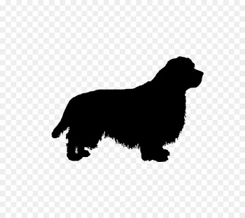 Dog breed Kooikerhondje Puppy Wirehaired Pointing Griffon Companion dog -  