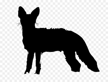 Dog breed Mustang Donkey Red fox -  