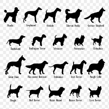 Dog breed names png sticker | Free PNG - rawpixel