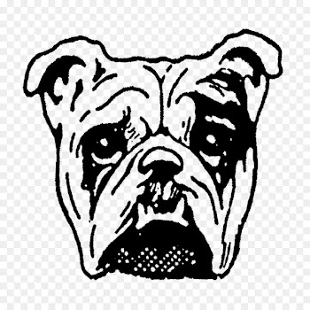 Dog breed Non-sporting group Rubber stamp Face Clip art - Face 