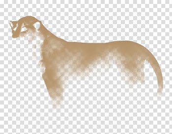 Dog breed Puma Wildlife, Dog transparent background PNG clipart