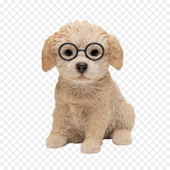 Dog breed Puppy Companion dog - puppy 