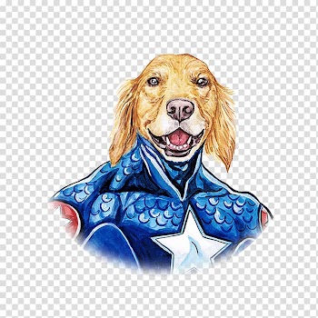 Dog breed Puppy Illustration, Hand painted watercolor cute dog American captain transparent background PNG clipart