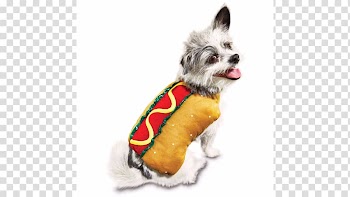 Dog breed Shih Tzu Companion dog Puppy Disguise, puppy transparent background PNG clipart