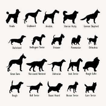 Dog breed types silhouette clipart, | Free Vector - rawpixel