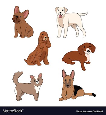 dog breeds