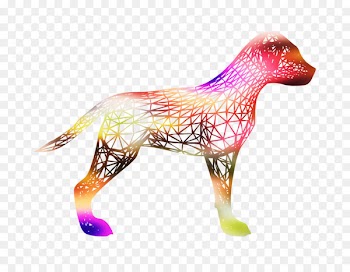 Dog, Canidae PNG