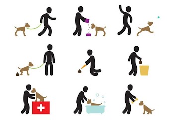 Dog Care Actions